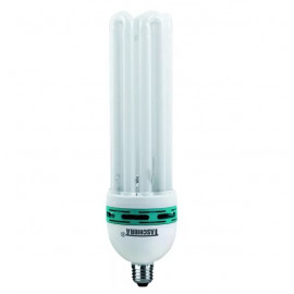 LAMPADA EC TASCHIBRA 84W 5U E40 220V