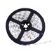 FITA LED IP20 3528 W BRANCA 6MM 5 METROS