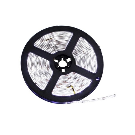 FITA LED IP20 3528 W BRANCA 6MM 5 METROS