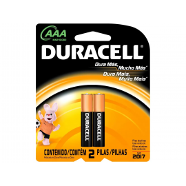 PILHA ALCALINA DURACELL AAA C.2